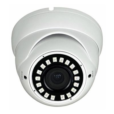 IP Auto Focus Dome Camera