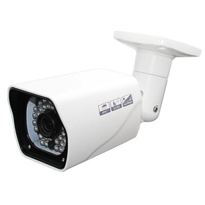 IP Starlight Full Color Camera